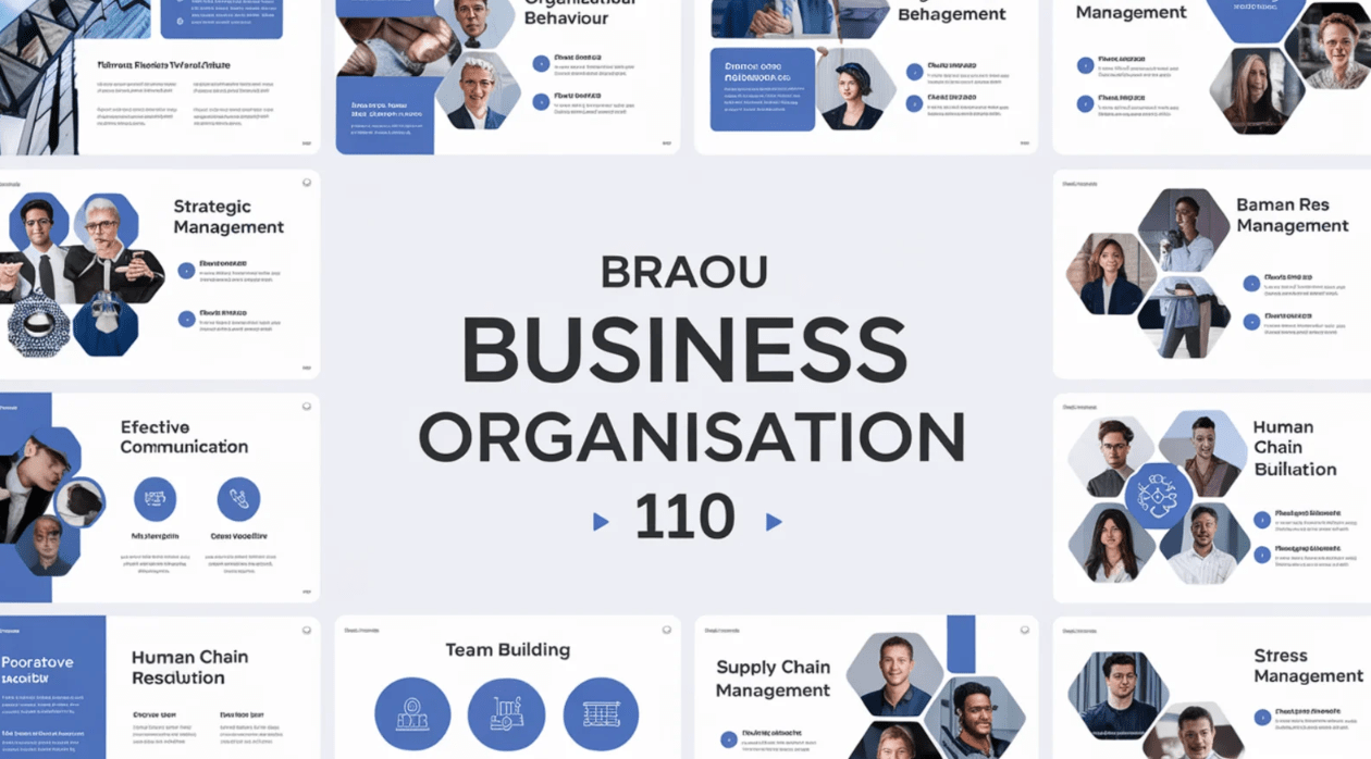 BRAOU Business Organisation 110 PPT